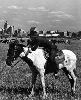 View of Dallas